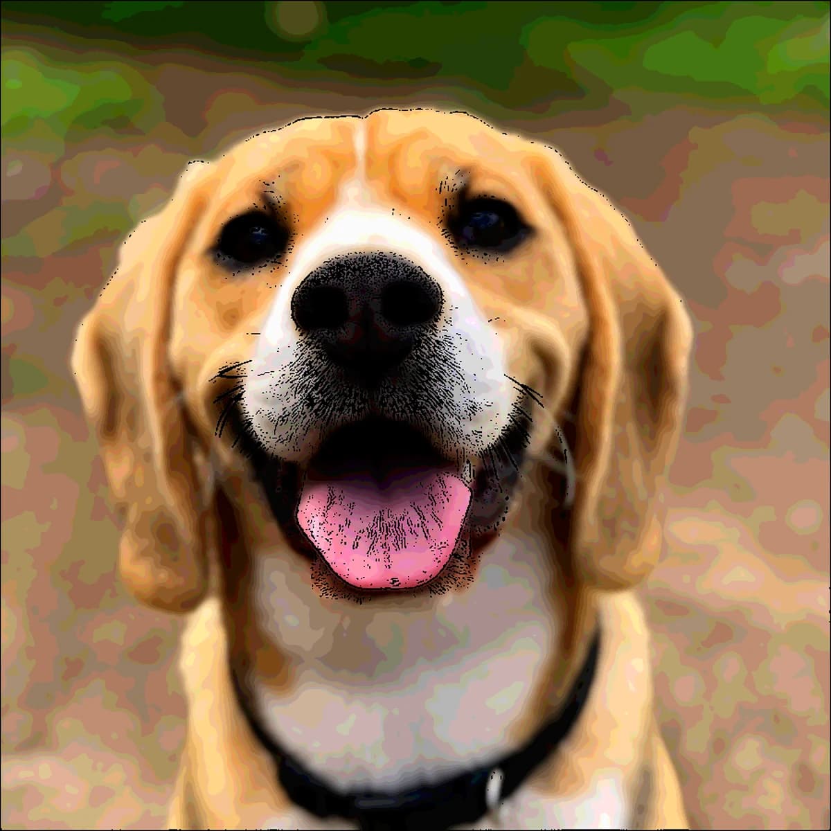 Pet portrait transformed into a colorful illustration